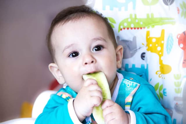 8 Aylık Bebeğinizin Gelişim Evreleri, Beslenme ve Bakım Rehberi image