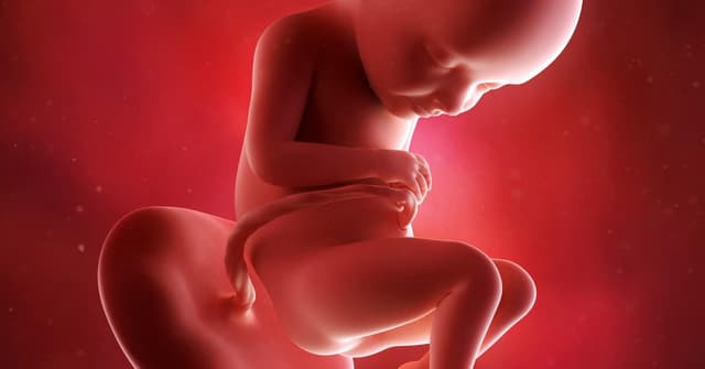 32 Haftalık Gebelikte Bebeğin ve Annenin Gelişimi: Duyular, Semptomlar ve Öneriler image