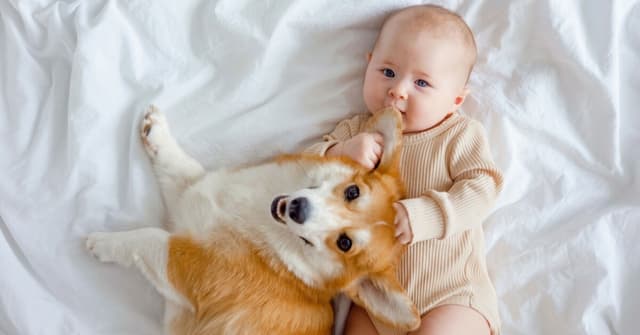 Çocukların Evcil Hayvanı İle Vedalaşması image