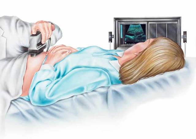Dış Gebelik Nedir? Nasıl Anlaşılır? image