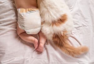 kedi ve bebek