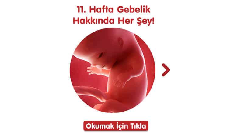 10. Hafta Gebelikte Neler Oluyor?