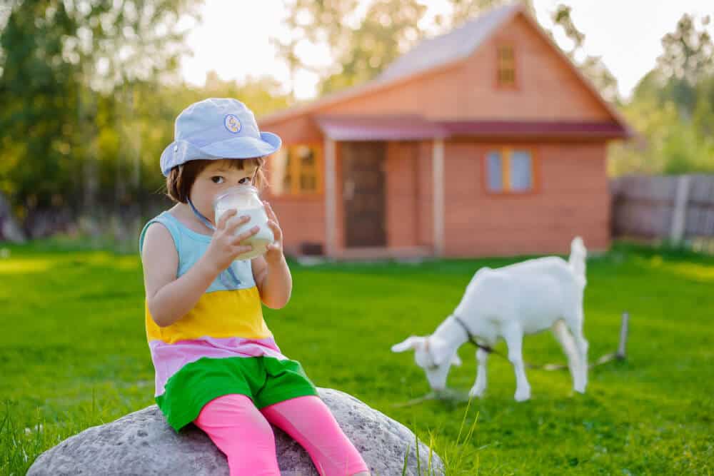 bebeğinize keçi sütü vermeniz için 5 neden