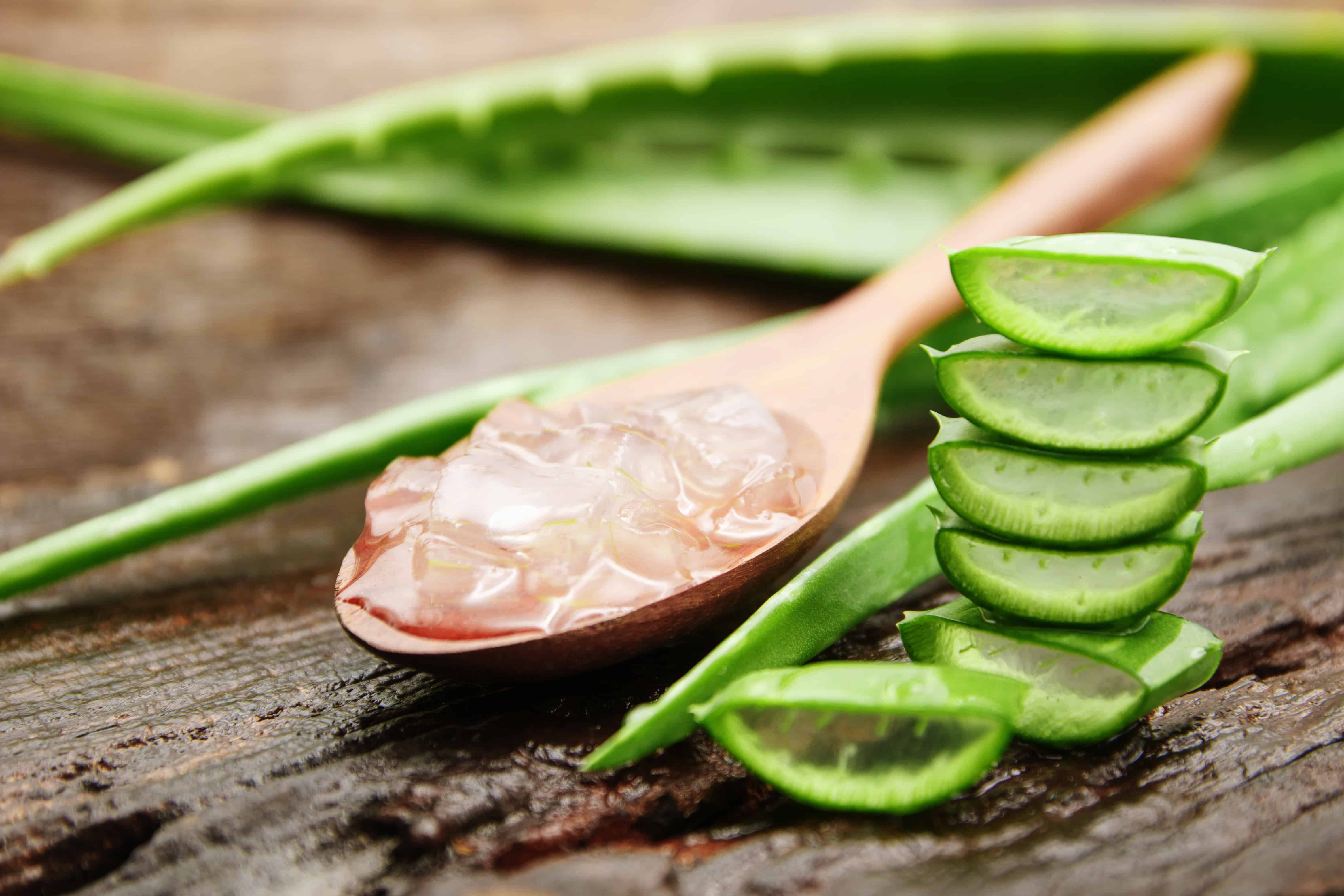 Aloe vera extract